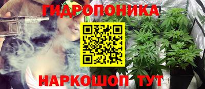 spice Пушкино