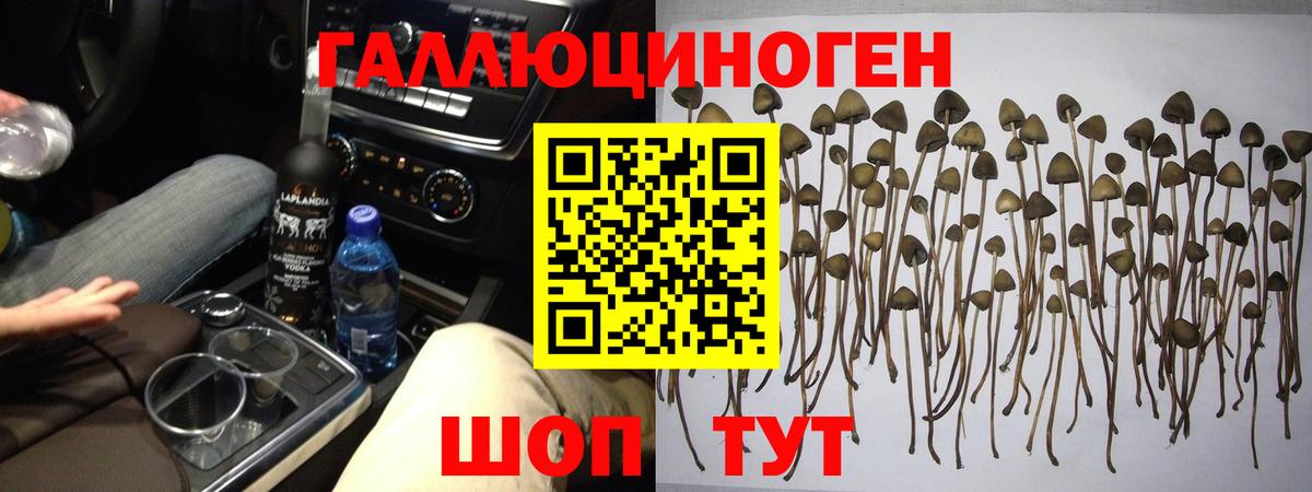 Псилоцибиновые грибы прущие грибы Азнакаево